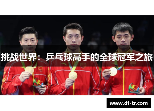 挑战世界：乒乓球高手的全球冠军之旅